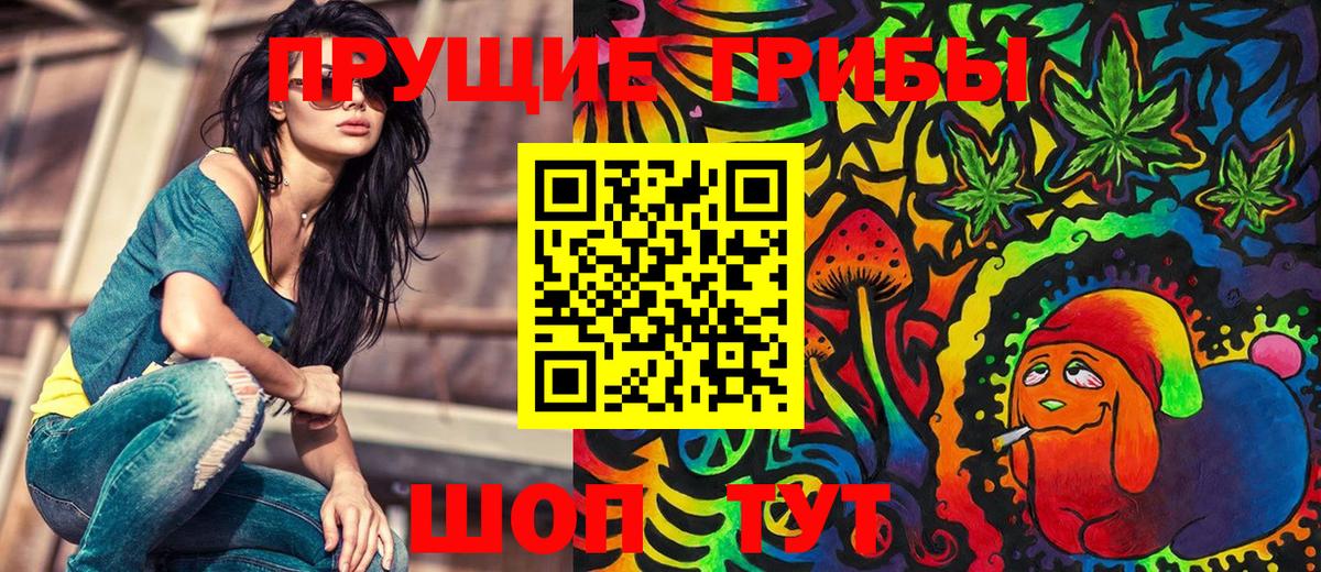 Миасс  Псилоцибиновые грибы мицелий  Вход с VPN 